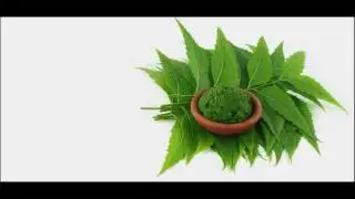Neem Oil Promotes Hair Growth How To Use At Home