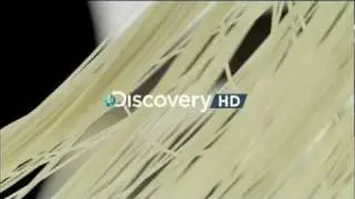 Discovery HD Intro