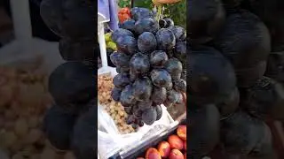 Виноград кишмиш