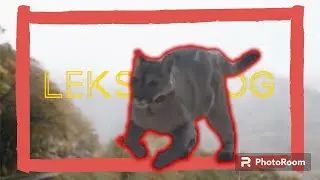 ‼️Весенние будни Лексы‼️