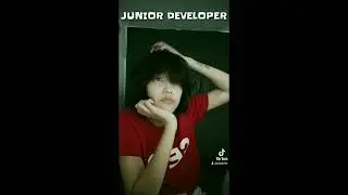 Senior Developer vs. Junior Developer
