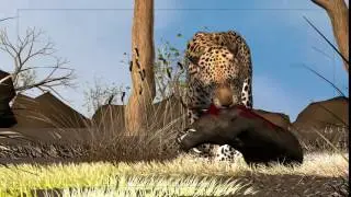 Leopard Animation in Maya | Creature Animation