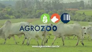 SERINGA KABER VISION