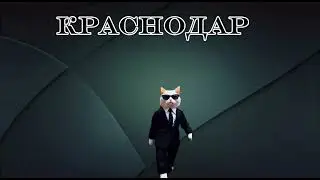ТГ:коты на Бали
