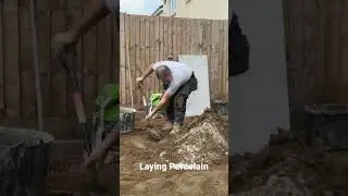 Laying A 