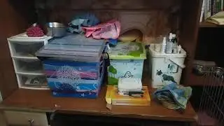 организация, содержание щенков в домашних условиях.