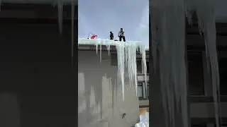 Dropping huge icicles 🦣❄️🪓 
