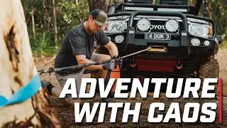 Adventure with CAOS