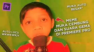 How to Create Convex Face Memes and Resounding Sounds in Adobe Premiere Pro