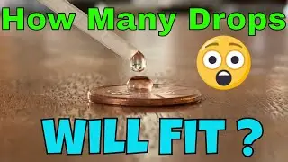 Can you put 60 Drops of Water on a Penny?