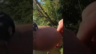 Ultralight fishing with worms