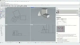RH 01-2:   Viewport Display and Status Bar Settings