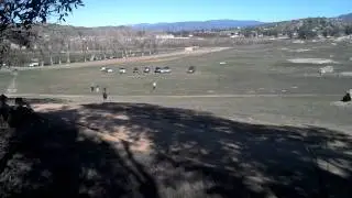 Taylor Made Working Dogs - Zastin Eqidius running the hill (helper Kris Taylor)