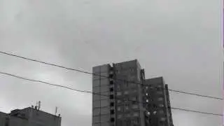 Птицы над Чертаново