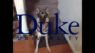 Duke do you want the ball Vine so funny😂😂😂😂😂