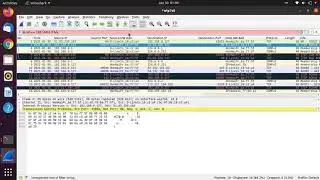Wireshark Tutorial with HTTP Packet Sniffing