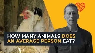 How Many Animals Does the Average Person Eat?