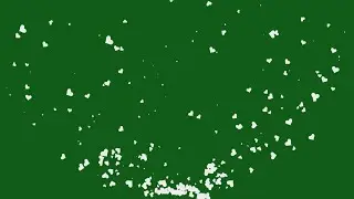 New Template White Love and Heart Particles Effect | Green Screen Background | Copyright Free Effect