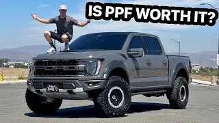 Why Raptors NEED Paint Protection Film!!