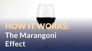 Marangoni Effect: Tears of Wine (and Rum)