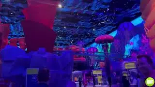 MicroOcean - SeaWorld Yas Island, Abu Dhabi