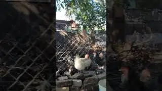 Смешные картинки