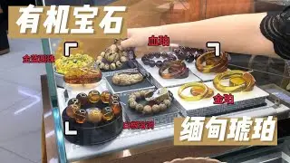 缅甸琥珀交易市场，这些琥珀大家认识几种？