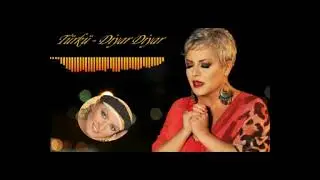 Türkü - Diyar Diyar