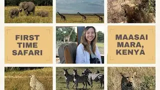 first African safari in Maasai Mara, Kenya + top ten tips for first-timers