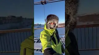 Воркута 2024. Заброшенный мост в Рудник.  #Воркута  #рудник  #заброшки  #воркута2024  #мост