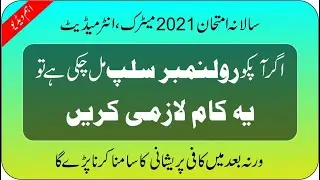 Name Correction in Roll Number Slip | Matric Roll Number Slips 2021 | Intermediate Roll No Slip 2021