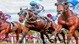1989 Winter Racing _ Ansett Cup _ Vitalic / Sandown Vic