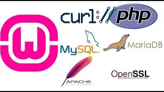WAMP Server setup for Production with OpenSSL, cURL, SECURITY VAPT, Virtual Host Configuration