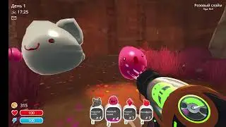 разважу слаймов в игре slime rancher