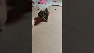 фигурки