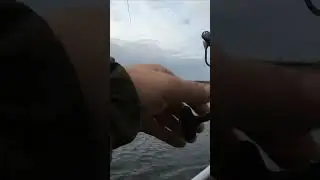 TsuYoki Macho SR принес хорошую ЩУКУ #рыбалка2023 #рыбалка #fishing