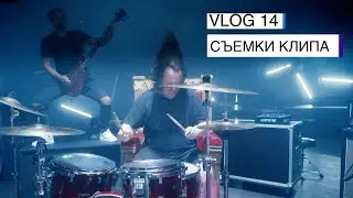 Зебра Виктор снял клип, Купили аппаратуру, Ответы на вопросы. Влог №14