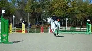 Julie & Kéops - CSO Club 2 - Maisons-Laffitte - 19/10/08
