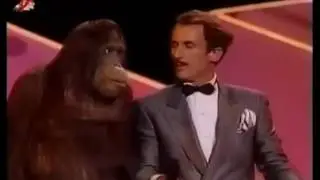 Орангутанги Бобби Берозини.