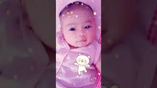 Queen Chubby