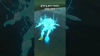 Hold Smuggling 101 | Breath of the Wild Glitches