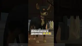 добрый вечер я диспетчер 😂 Симс 4 