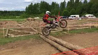 Шустрая Белка 2018