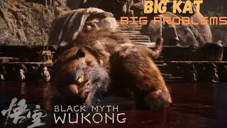 Big KAT BIG PROBLEMS