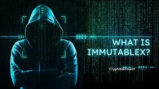 What is Immutable X?