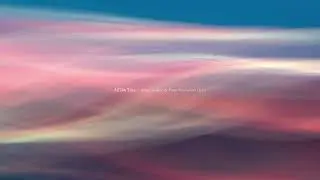 All This Time | Adam Dodson & 