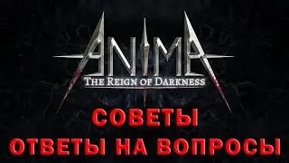 Anima arpg гайд ответы на вопросы