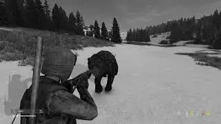 DayZ FROSTLINE moment
