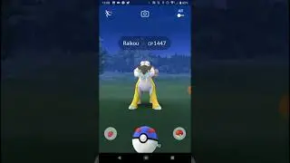 Raikou (Pokemon Go) - 3 excellent throws in a row