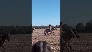 14.10.23 г. Не ранчо у Иваныча